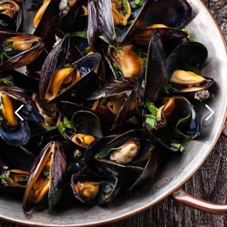 Mydia - Mussels